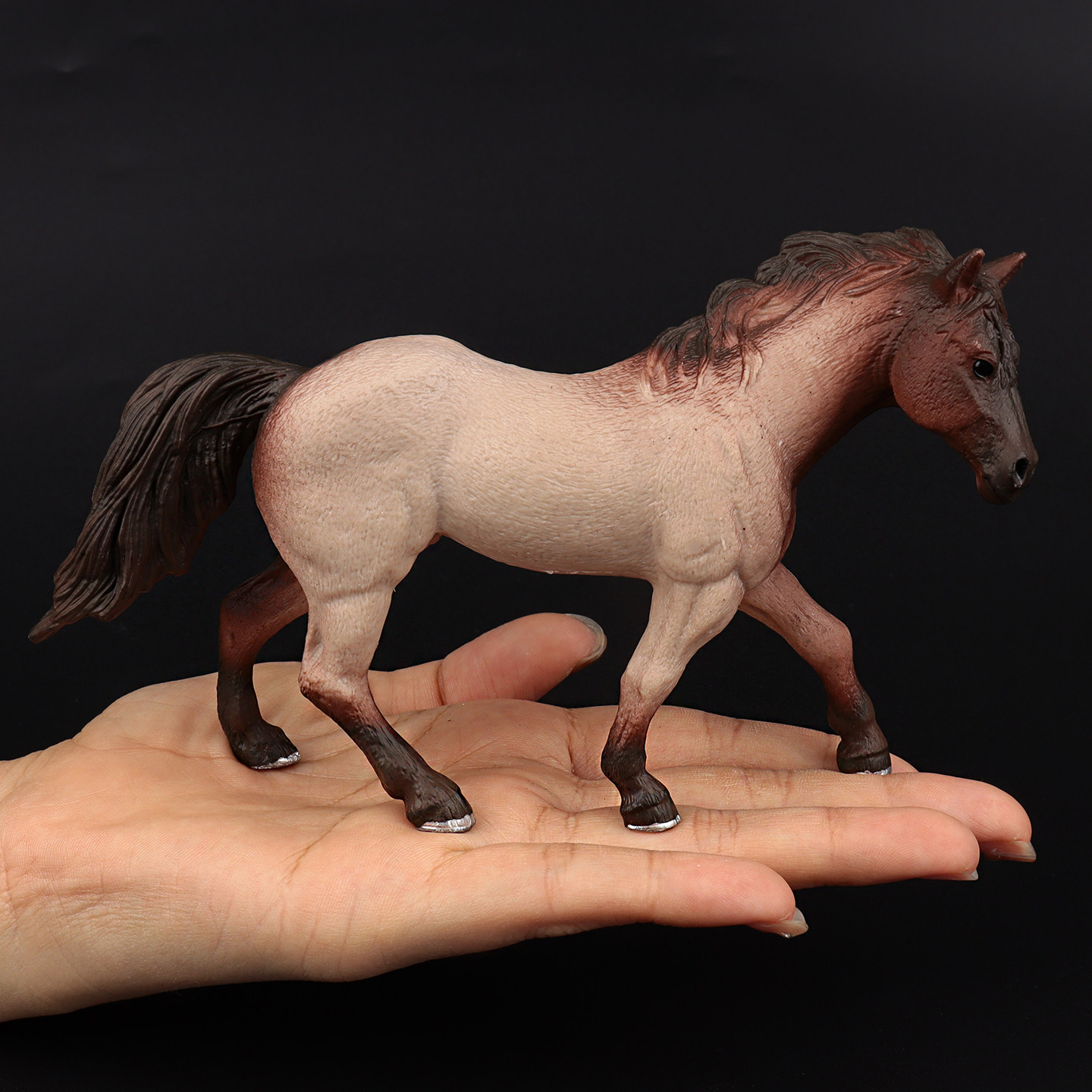 Clydesdale Hanoverian Quatema  - Kids First Education ulasan dan harga