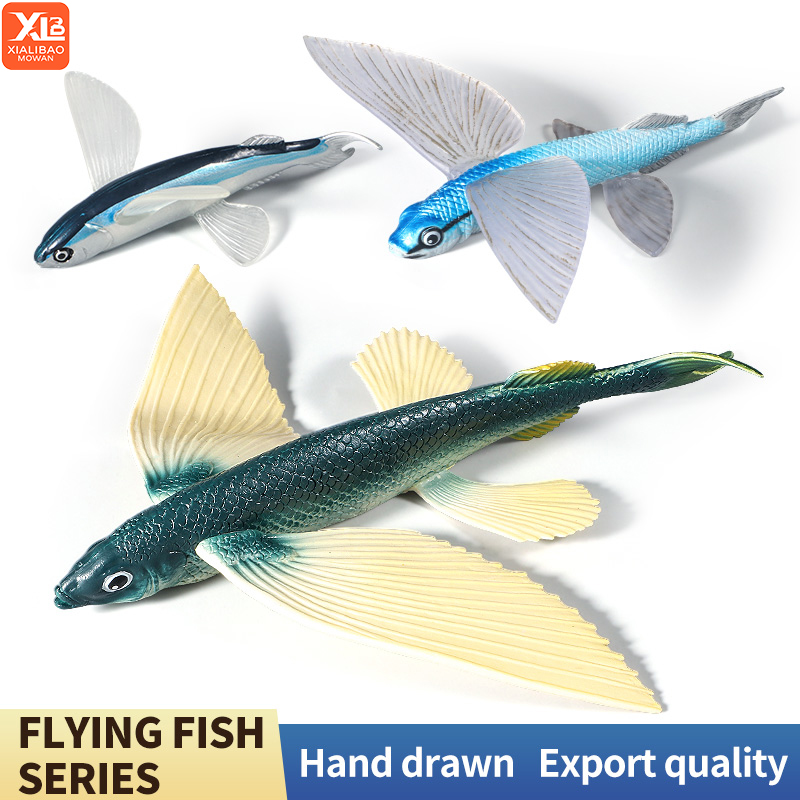 Ocean Marine Animal Underwater - Kids First Education ulasan dan harga