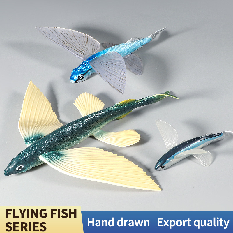 Ocean Marine Animal Underwater - Kids First Education ulasan dan harga