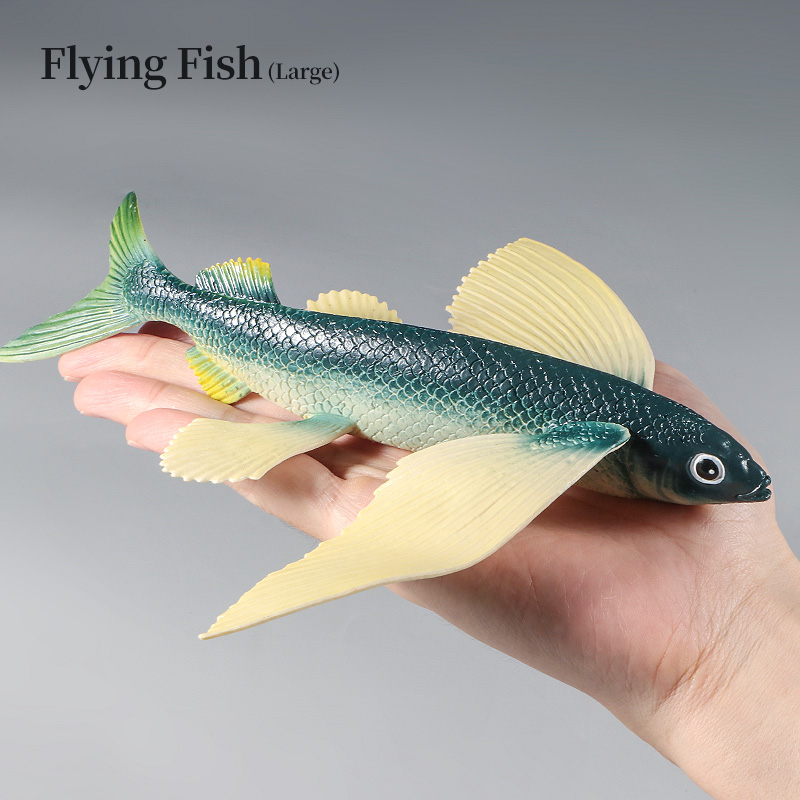 Ocean Marine Animal Underwater - Kids First Education ulasan dan harga