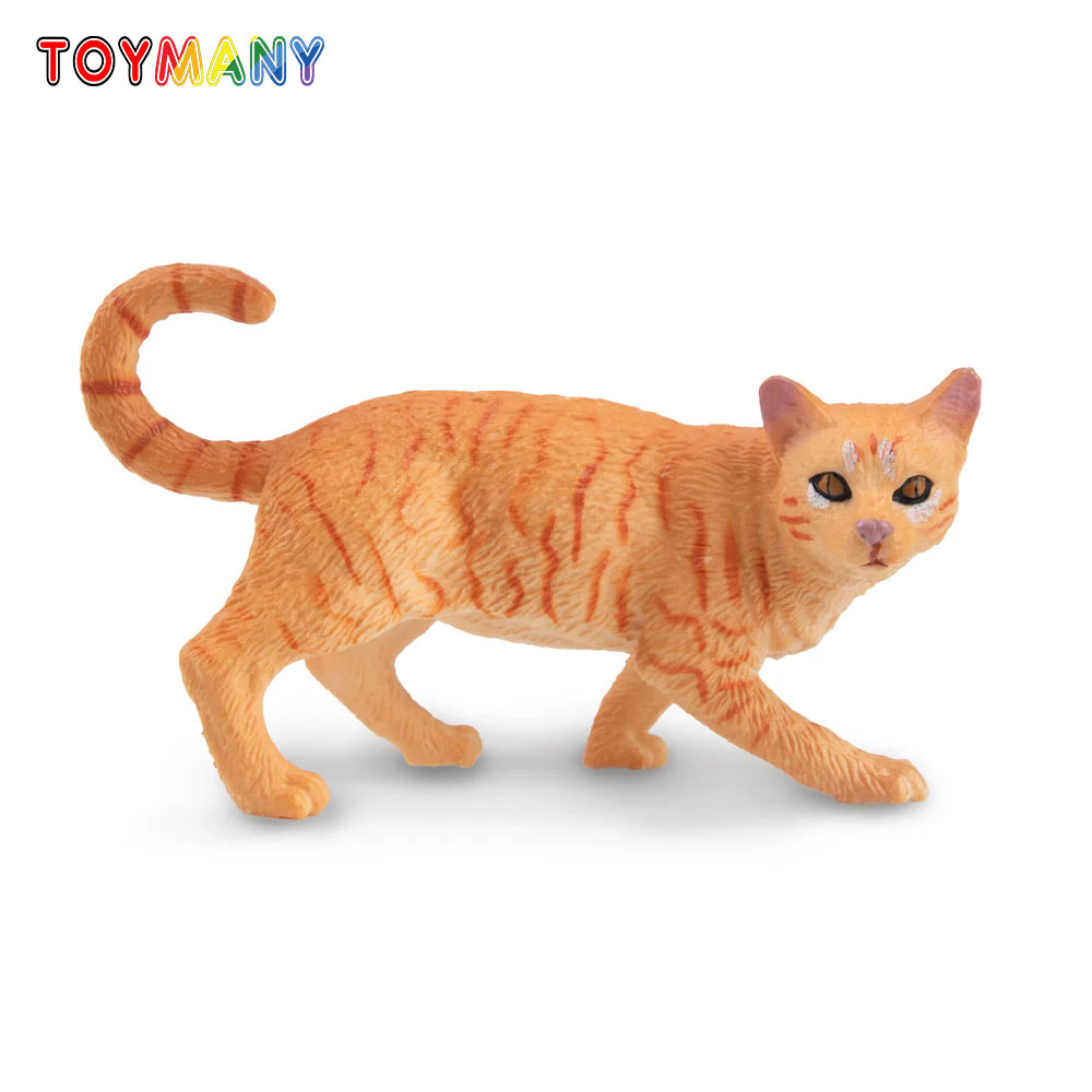 Toymany Simulation Striding Or - Kids First Education ulasan dan harga