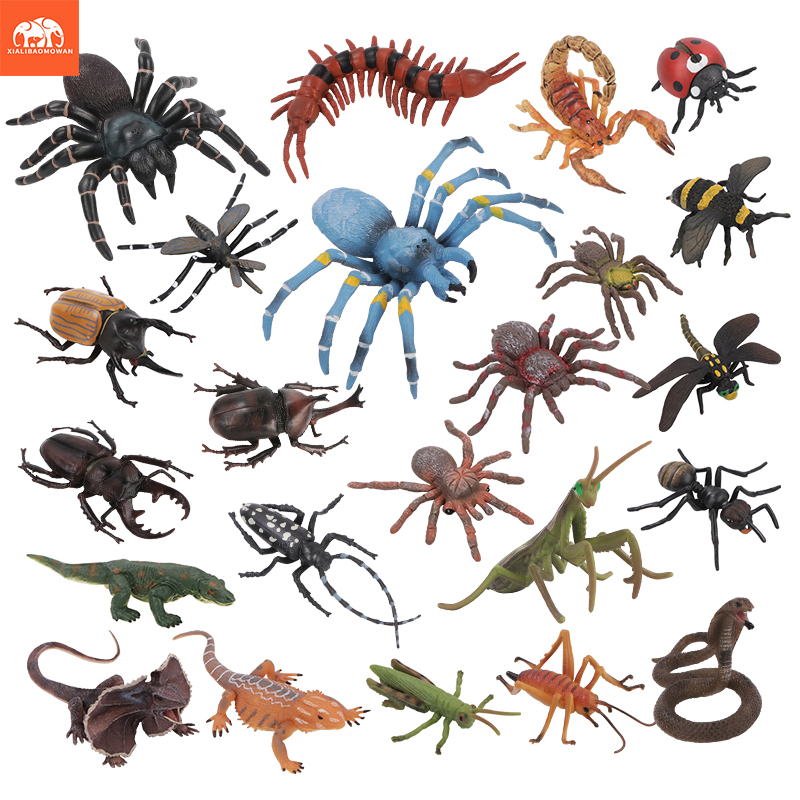 Educational Simulation Insect  - Kids First Education ulasan dan harga
