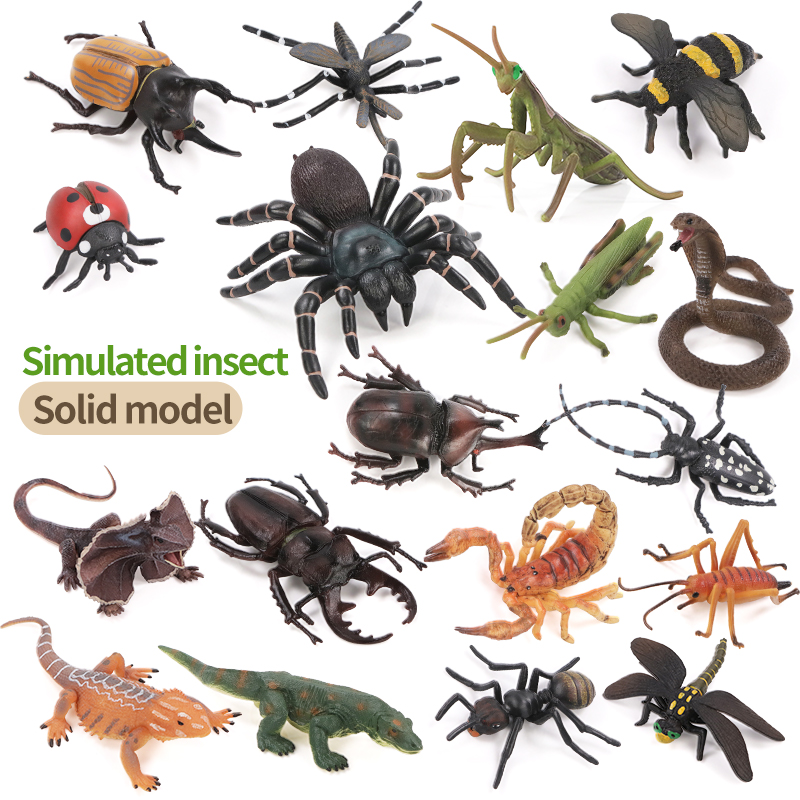 Educational Simulation Insect  - Kids First Education ulasan dan harga